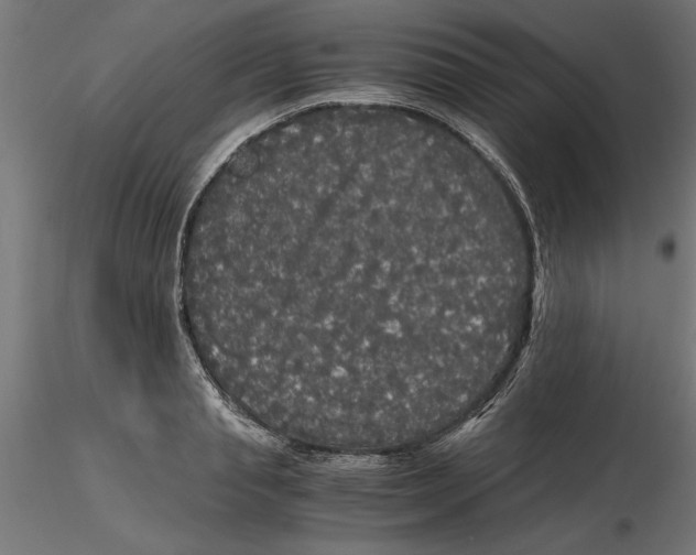 X0000116480845201001061118