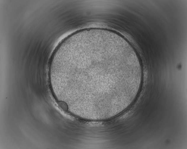 X0000116480846201001061118