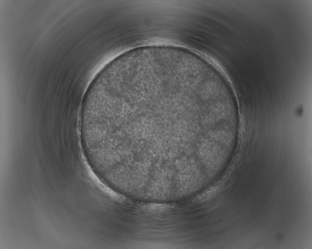 X0000116480847201001061118