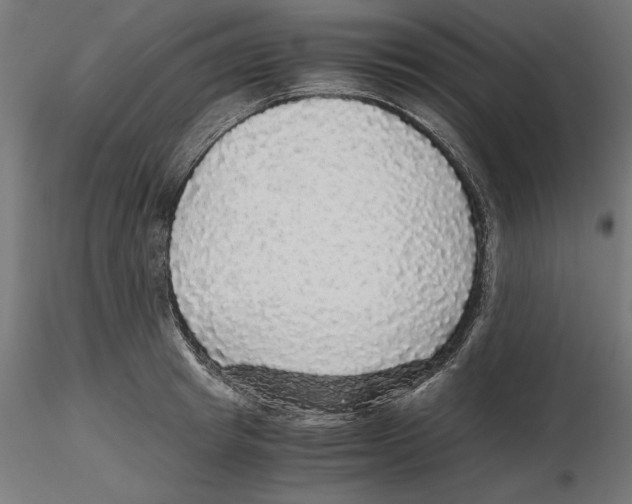 X0000116480849201001061118