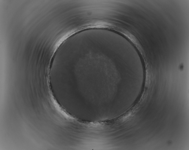 X0000116480850201001061118