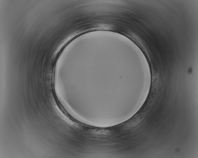 X0000116480851201001061118