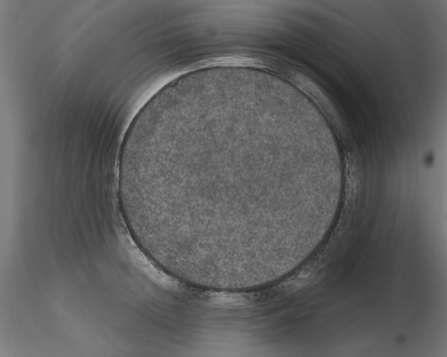 X0000116480852201001061118