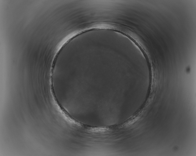 X0000116480853201001061118