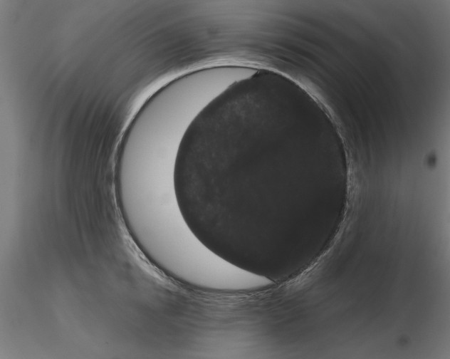 X0000116480854201001061118