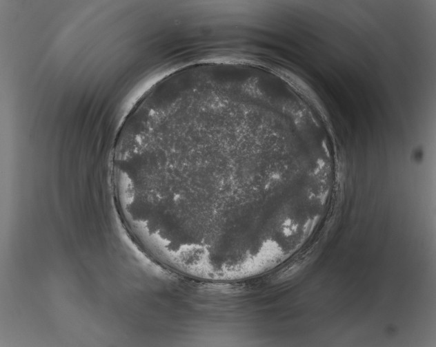 X0000116480855201001061118