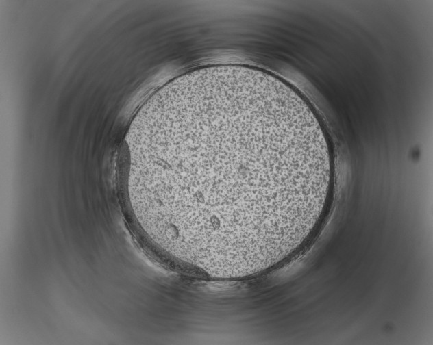 X0000116480857201001061118