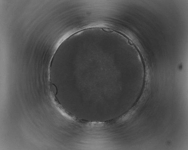 X0000116480858201001061118