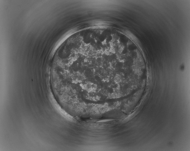 X0000116480859201001061118