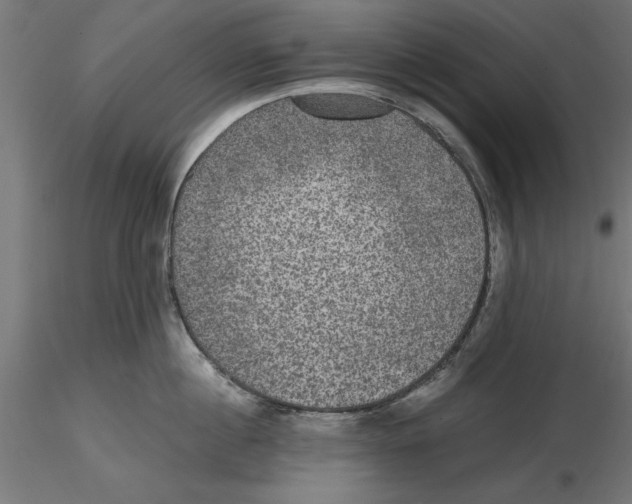 X0000116480860201001061118