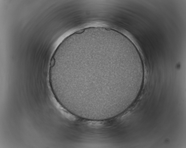 X0000116480861201001061118