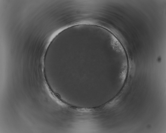 X0000116480862201001061119