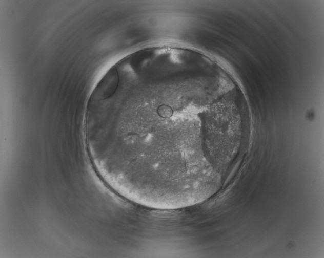 X0000116480863201001061119