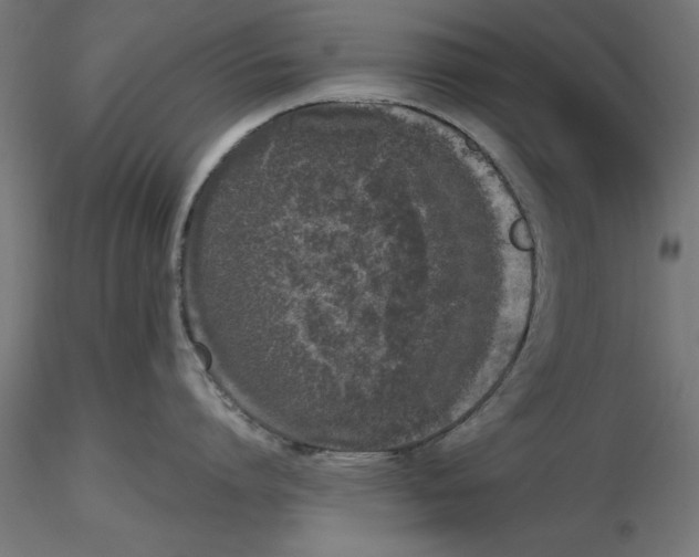 X0000116480864201001061119