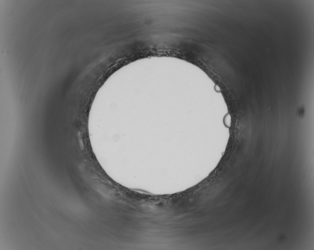 X0000116480865201001061118