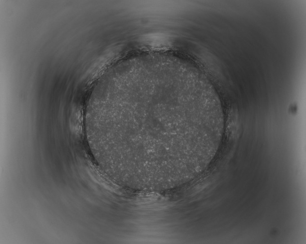 X0000116480866201001061118