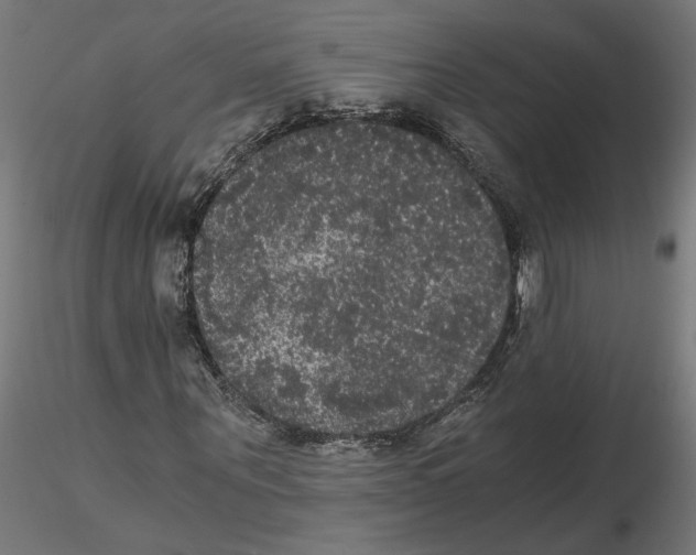 X0000116480867201001061118