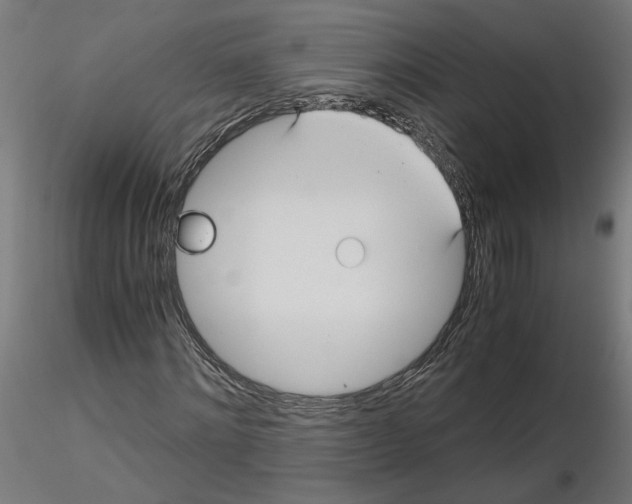 X0000116480868201001061118