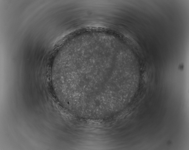 X0000116480870201001061118