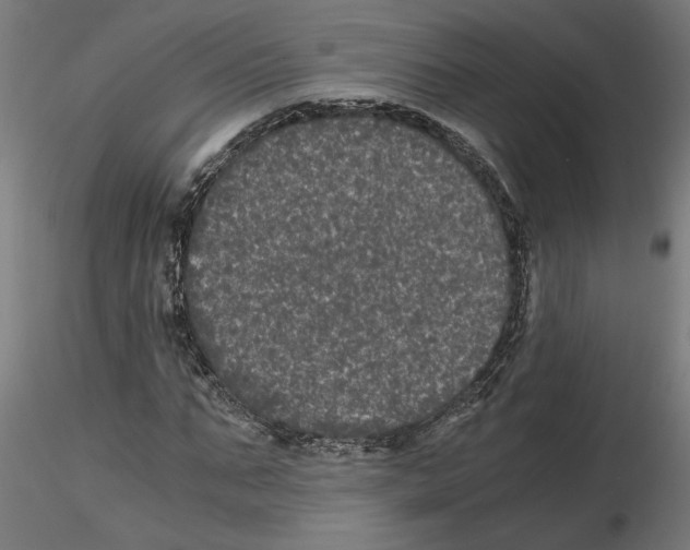 X0000116480871201001061118