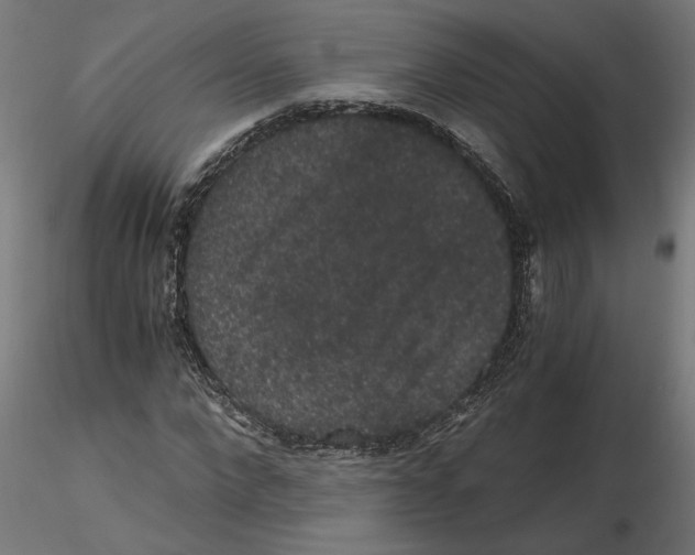 X0000116480872201001061118