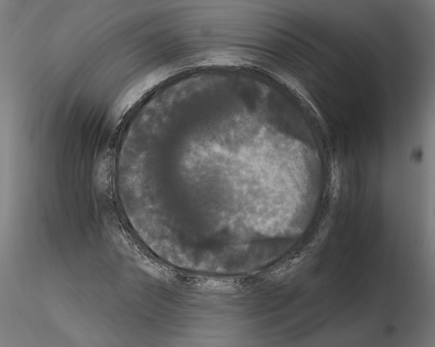 X0000116480874201001061118