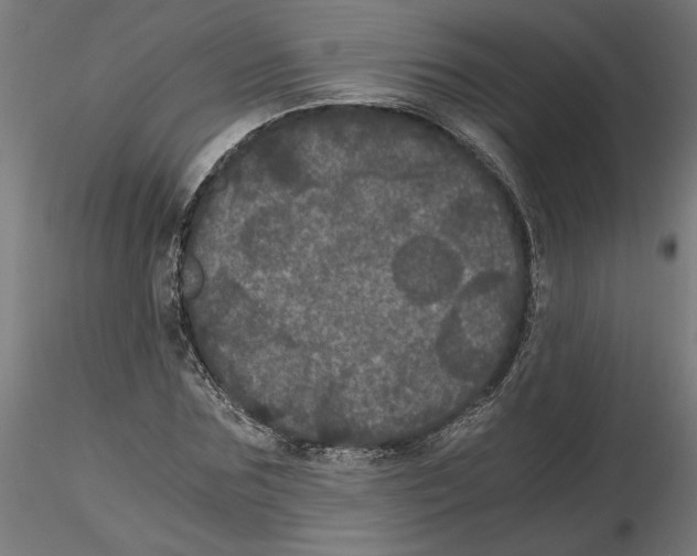 X0000116480875201001061118