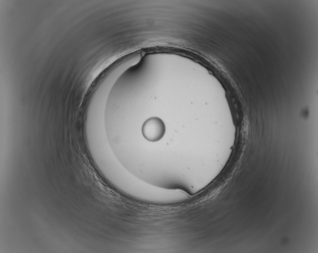 X0000116480877201001061118