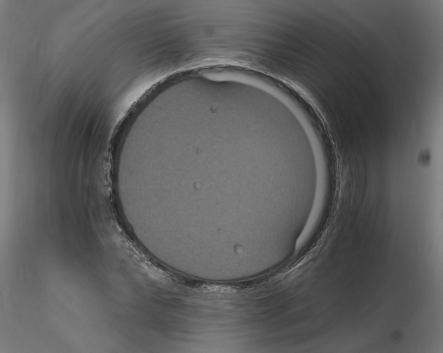 X0000116480878201001061118