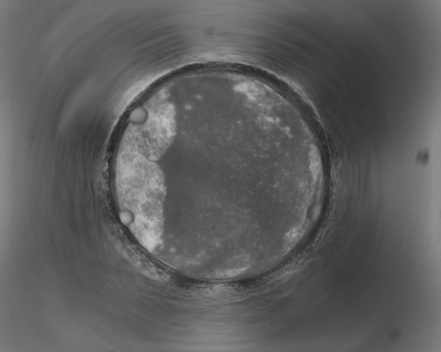 X0000116480879201001061118