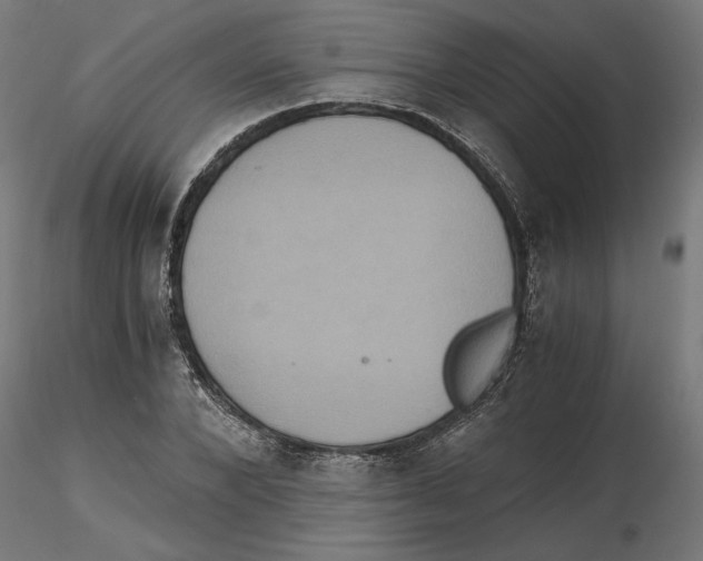 X0000116480880201001061118