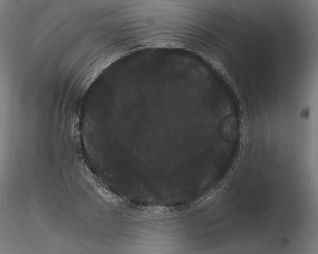 X0000116480881201001061118