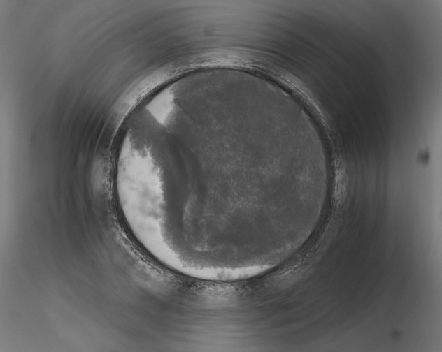 X0000116480882201001061118