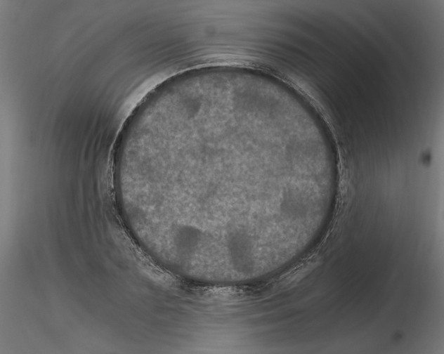 X0000116480883201001061118