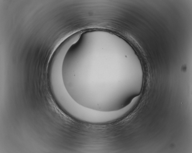 X0000116480884201001061118