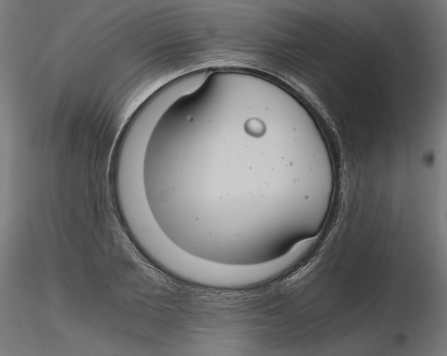 X0000116480885201001061118