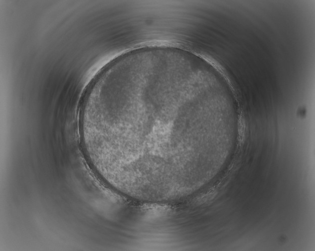 X0000116480886201001061118