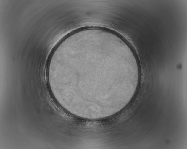 X0000116480887201001061118