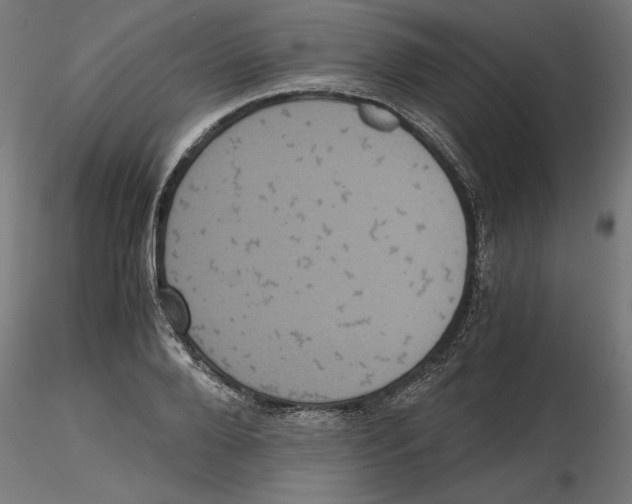 X0000116480888201001061118