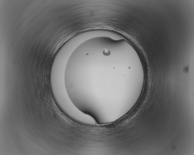 X0000116480889201001061118