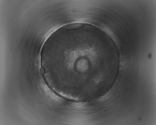 X0000116480892201001061118