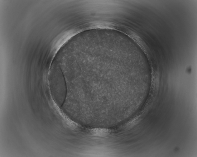 X0000116480893201001061118