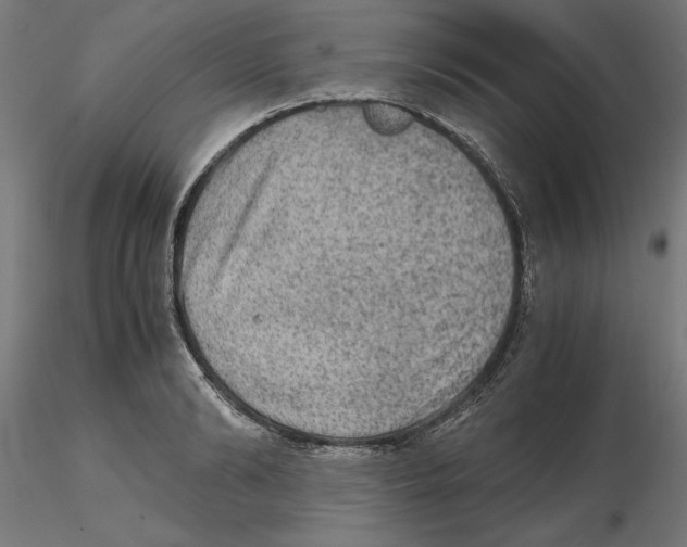 X0000116480894201001061117