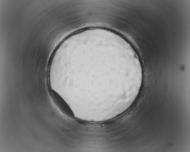 X0000116480895201001061117