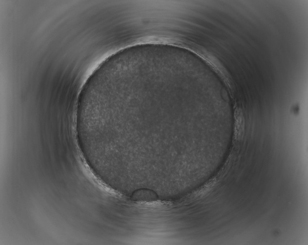 X0000116480896201001061117