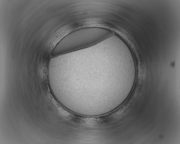 X0000116480897201001061117