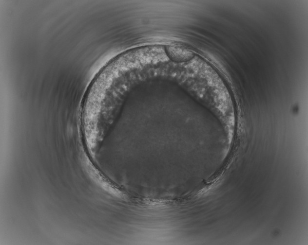 X0000116480899201001061117