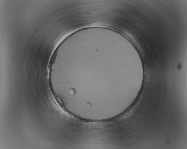 X0000116480900201001061117