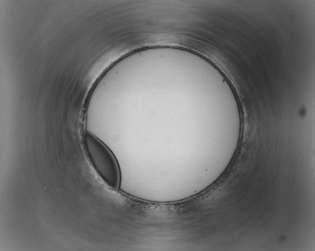 X0000116480901201001061117