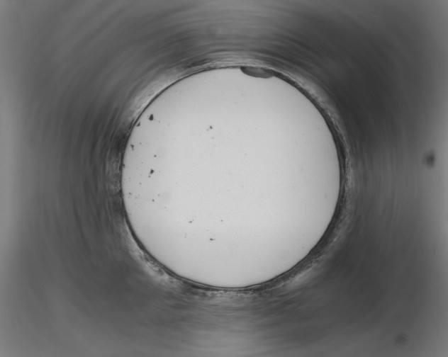 X0000116480905201001061117